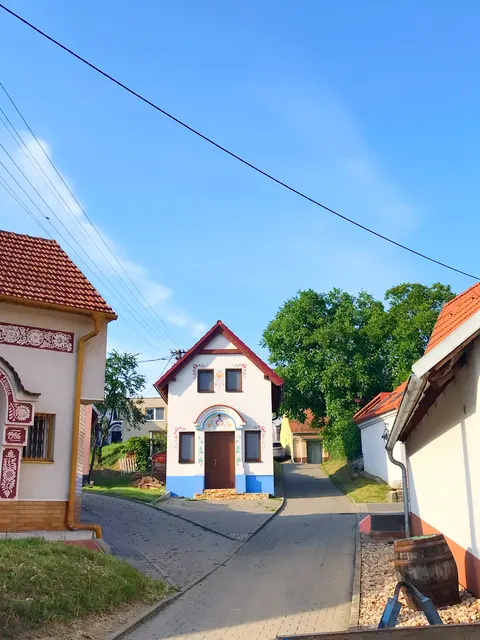 Fotografie a videa — fotografie 1