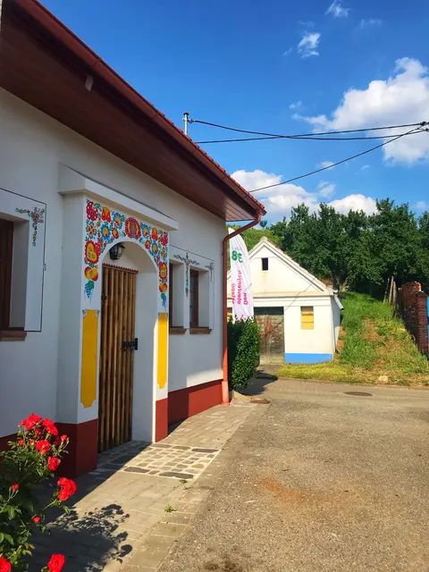 Fotografie a videa — fotografie 12
