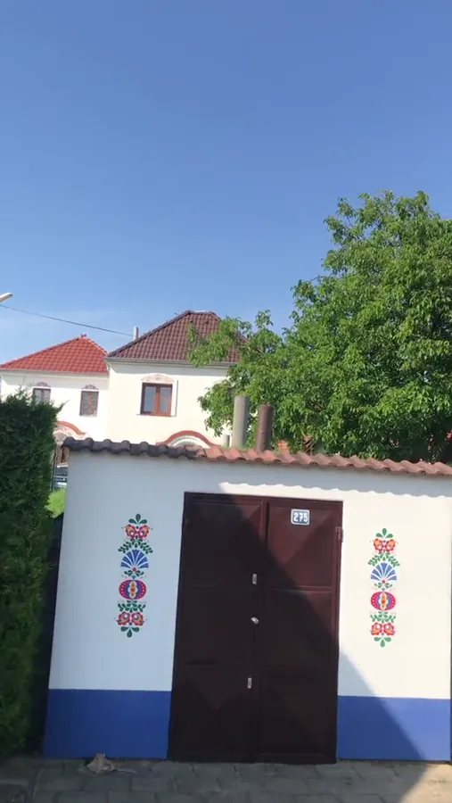 Fotografie a videa — video 58