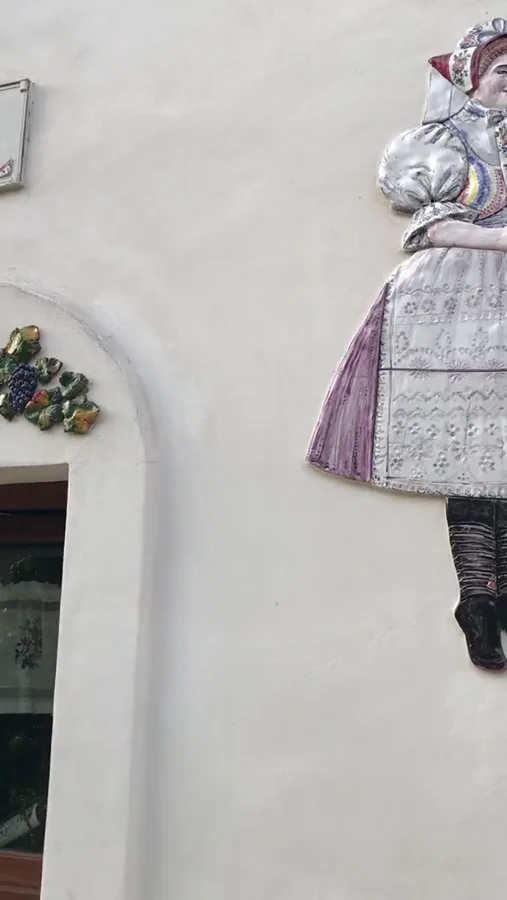 Fotografie a videa — video 51