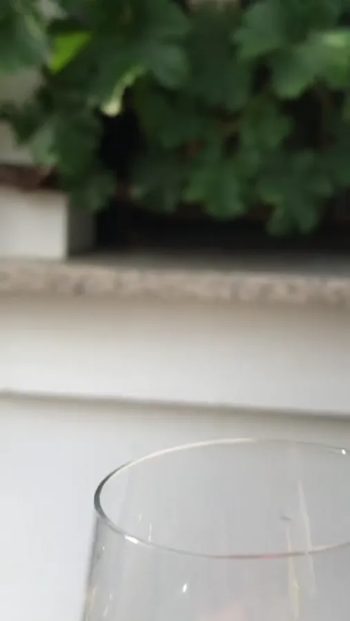 Fotografie a videa — video 52