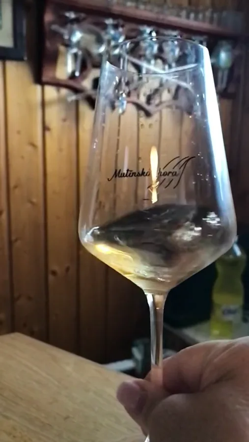 Fotografie a videa — video 53