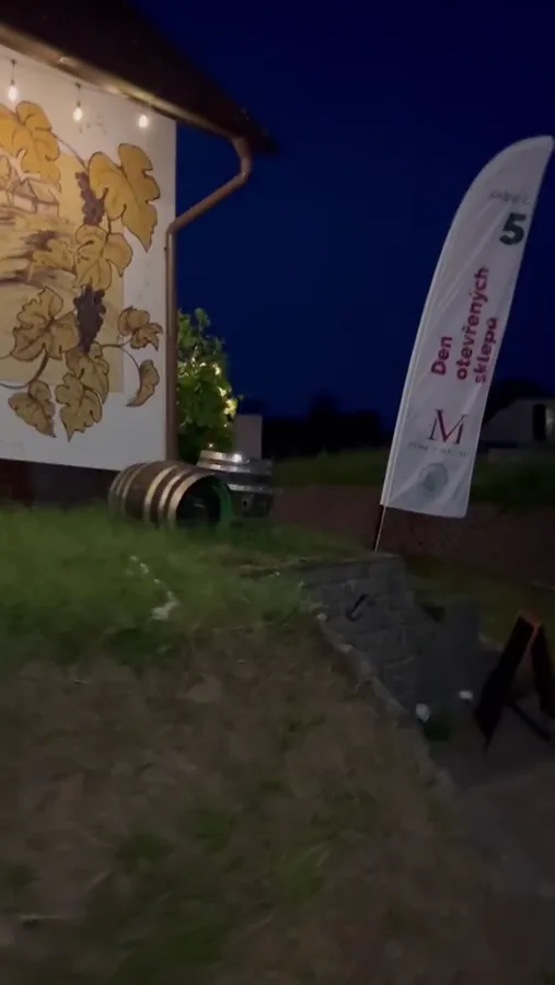 Fotografie a videa — video 151