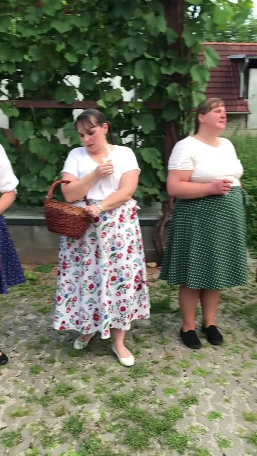 Fotografie a videa — video 166