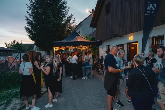 Fotografie a videa — fotografie 2