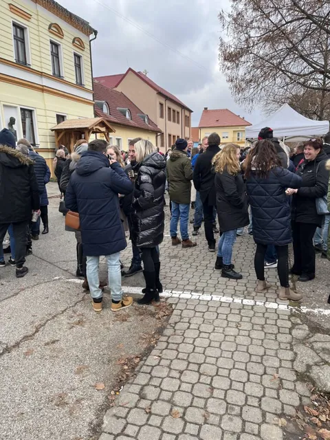 Fotografie a videa — fotografie 3