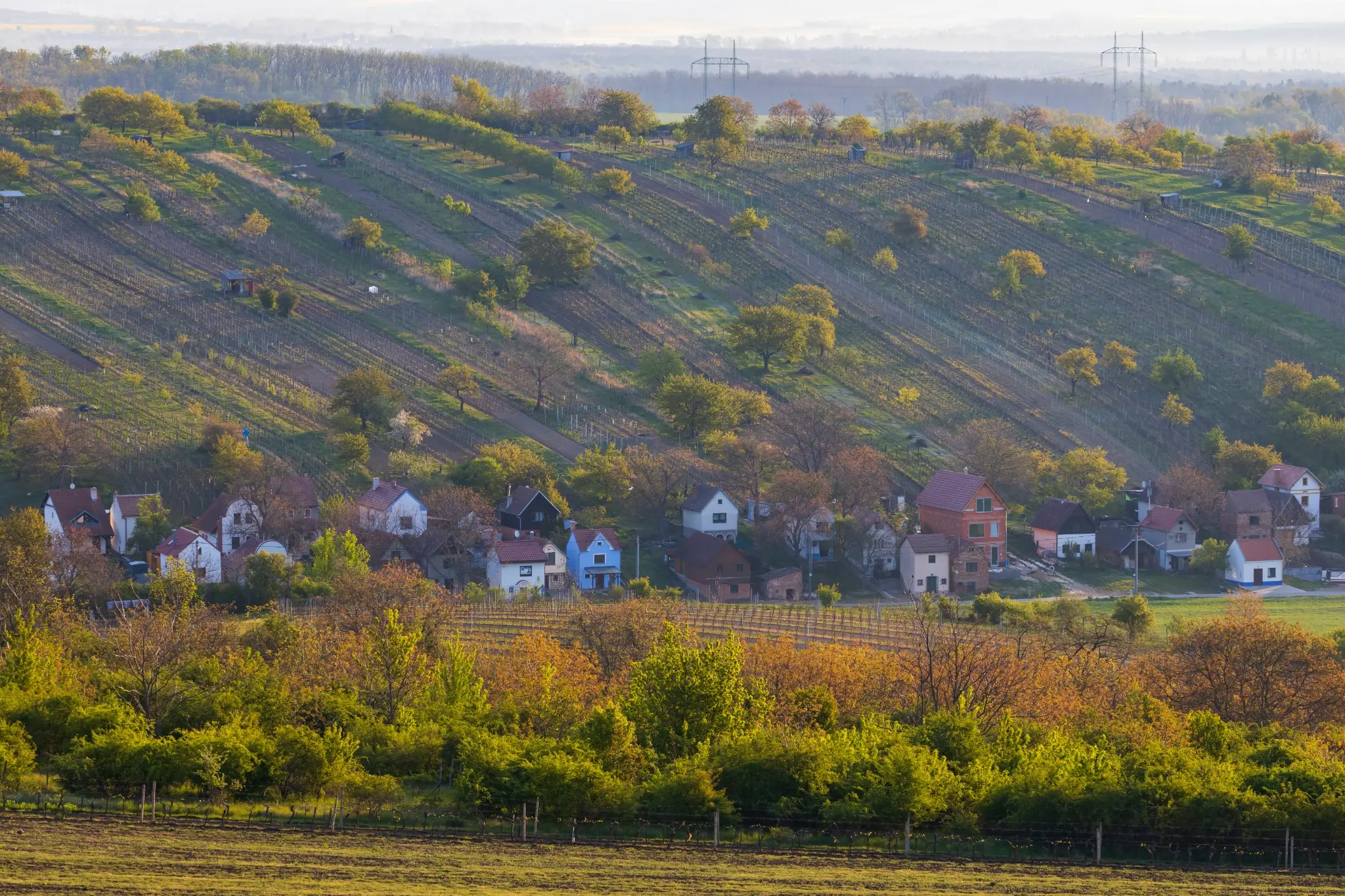 Panorama mutěnských vinic a sklepů